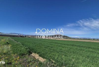 Spațiu comercial, în Tămășești - 8