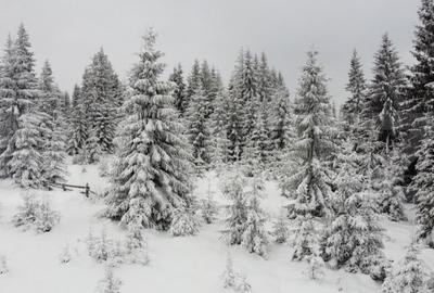 Teren 1500mp - Partia Marisel - intravilan, la 5 minute de p - 4