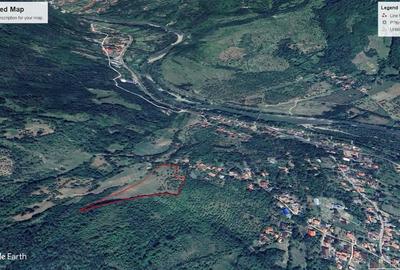 Teren de 7250 mp, în Păltineni - 1