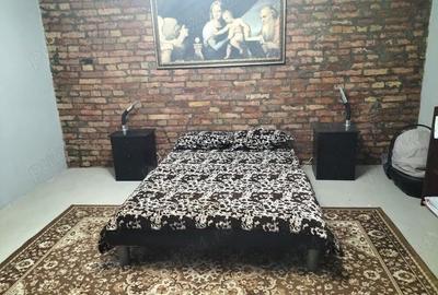 Vand casa la Varia? sau schimb cu apartament in Timi?oara!!! - 7