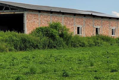 HALA 400 MP - ZIDARIE  IN CONSTRUCTIE-CU TEREN 6100 MP, DUBLU ACCES TIR BABENI - 25