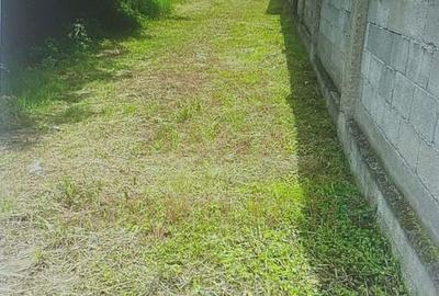 TEREN INTRAVILAN DE VÂNZARE 465 MP\ CARANSEBEȘ\ ZONA RACOVIȚEI - 2