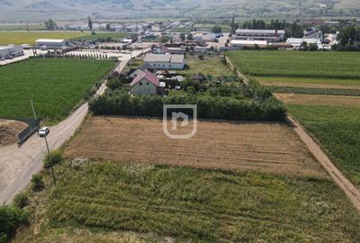 Teren Construcții intravilan de 2000 mp, în Ilișești - 3