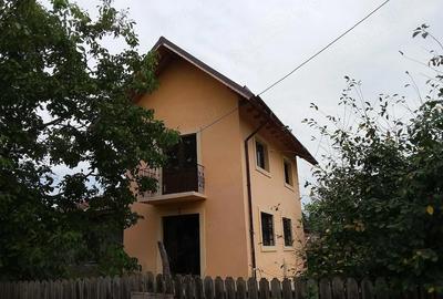 Casă cu 2 camere cu Teren 45000 Mp în Bărbătescu - 4