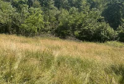 Teren de 2900 mp, în Sintești - 4