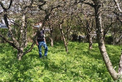 Teren de 3430 mp, în Malu cu Flori - 1