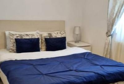 Apartament 2 C. parcare privata Palas Mall ,Centru, Palatul Culturii - 14