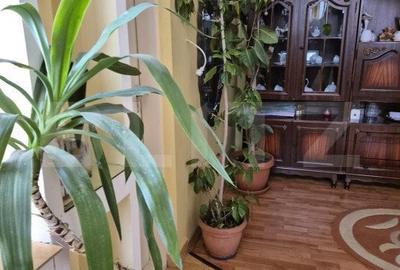 Casă cu 3 camere cu Canalizare în Central - 5