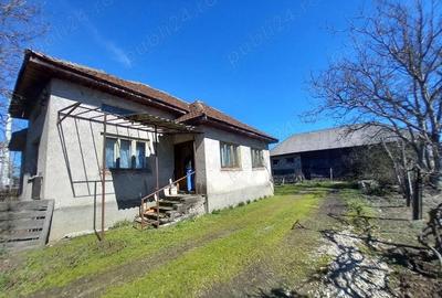 Casă cu 3 camere cu Teren 6500 Mp în Lucăcești - 8