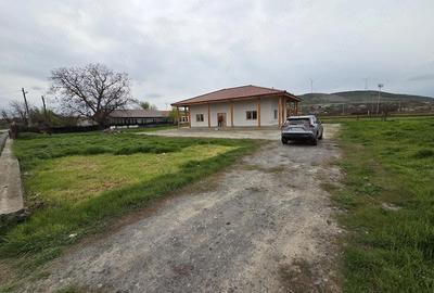 Casă cu Teren 1400 Mp în Agighiol - 6