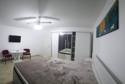 Garsoniera spatioasa cu boxa, Cartier Avantgarden - 11