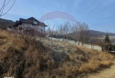 Spațiu comercial, în Central - 3