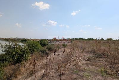 Teren Construcții intravilan de 1593 mp, în Ciocănești - 5