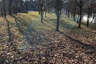 Casa ?araneasca autentica de vanzare in Sancraiu - 1