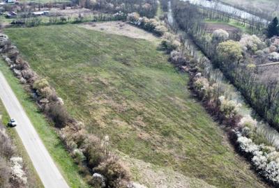 Teren intravilan Balint 22.500 mp - 11