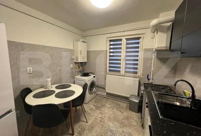Apartament cu 2 camere semidecomandat, mobilat în Brazda lui Novac - 6