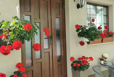 Vand casa in Oradea ultracentral strada Cuza Voda - 5