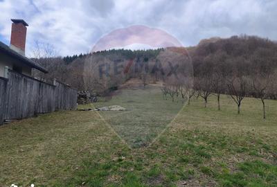 Teren de 2694 mp, în Firiza - 2