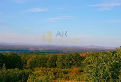 Casă cu 3 camere cu Teren 9500 Mp în Valea Călugărească - 4