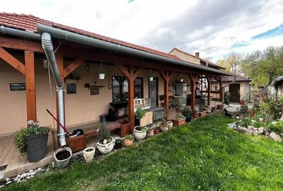 Casa cu teren 540 mp. langa LOTUS - IMOBIHOR - 4