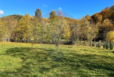 Teren de vanzare Cuiejdel 1350 mp Teren de vanzare Cuiejdel 1350 mp - 4