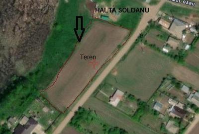 Vand teren in Comuna Soldanu 5500 m,p. - 1