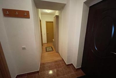 Apartament cu 2 camere decomandat, mobilat în Terezian - 4