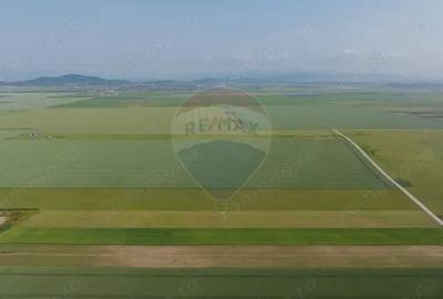 Teren 42,000mp Tarlungeni / Strada Izvor - 2