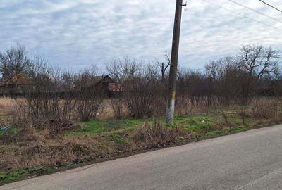 Teren de 2433 mp, în Sericu - 6