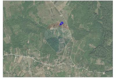 Teren agricol extravilan de 1338 mp, în Paleu - 2