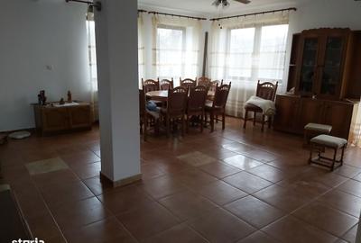 Casă cu 4 camere în Viile Satu Mare - 8