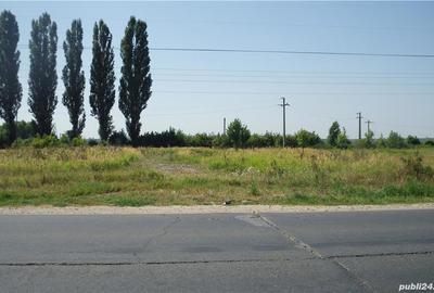 Teren de 2400 mp, în Aninoasa - 3