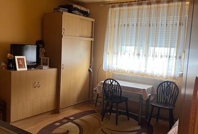 Casa individuala, in cartierul Lazaret cu bucatarie de vara,terasa si acces auto - 9