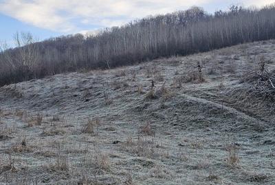 Spațiu comercial, în Central - 3