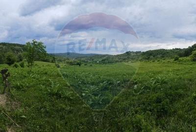 Teren 11,935mp Margineni / Strada Dubas - 3