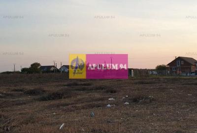 Teren construcție casă - 1 Decembrie - Zona Metropolitană București Teren construcție casă - 1 Decembrie - Zona Metropolitană București - 46