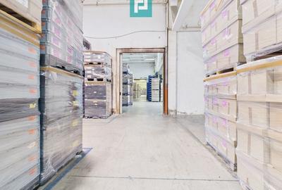 Centru Logistic – Platformă Industrială Oradea - 12