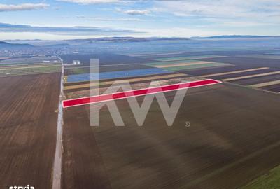 Teren de 16000 mp, în Hărmanului - 7