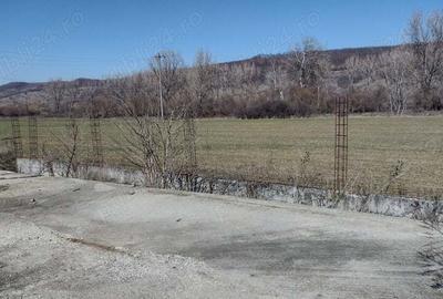 Teren de 20000 mp, în Valea Ursului (Tâmna) - 7