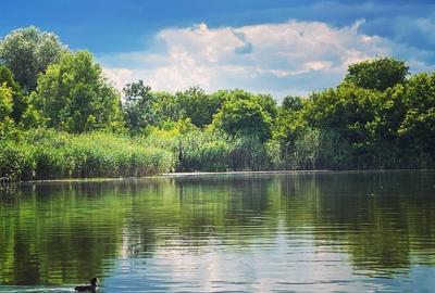 Vand Teren Lacul Snagov deschidere 24 ml la lac - 2