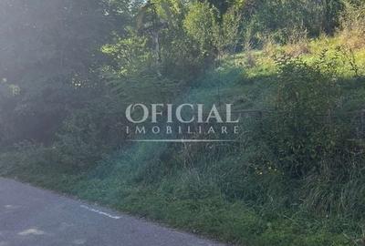 OPORTUNITATE!!! Teren Intravilan 2771 Mp Zona CIURILA Sat SUTU CLUJ OPORTUNITATE!!! Teren Intravilan 2771 Mp Zona CIURILA Sat SUTU CLUJ - 4