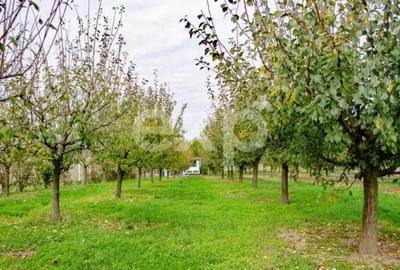 Teren în Sârbova - 2