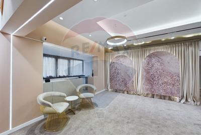 Apartament superb 3 camere de inchiriat Piata Dorobanti - 8