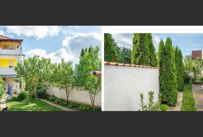 Spacious and elegant house with 5 rooms, 260 m2, Satu Mare - 2
