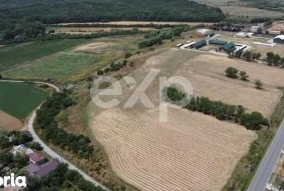 Teren de 105000 mp, în Singureni - 7