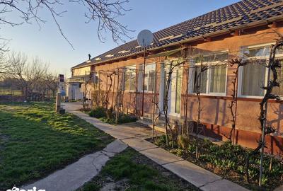 Casă cu 4 camere cu Teren 1500 Mp în Funcționarilor - 3