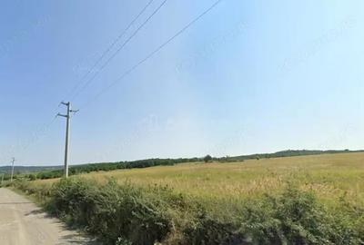 Teren de 127500 mp, în Forotic - 1