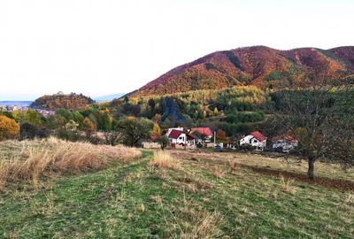 Teren Construcții intravilan de 706 mp, în Cisnădioara - 1