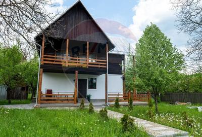 Vanzare vila, Stefesti-Prahova - 35