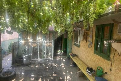 Casa de vinzare Loc.Tichilesti jud Braila - 5